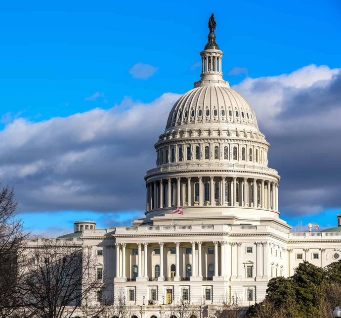 Private Tour of the US Capitol Building